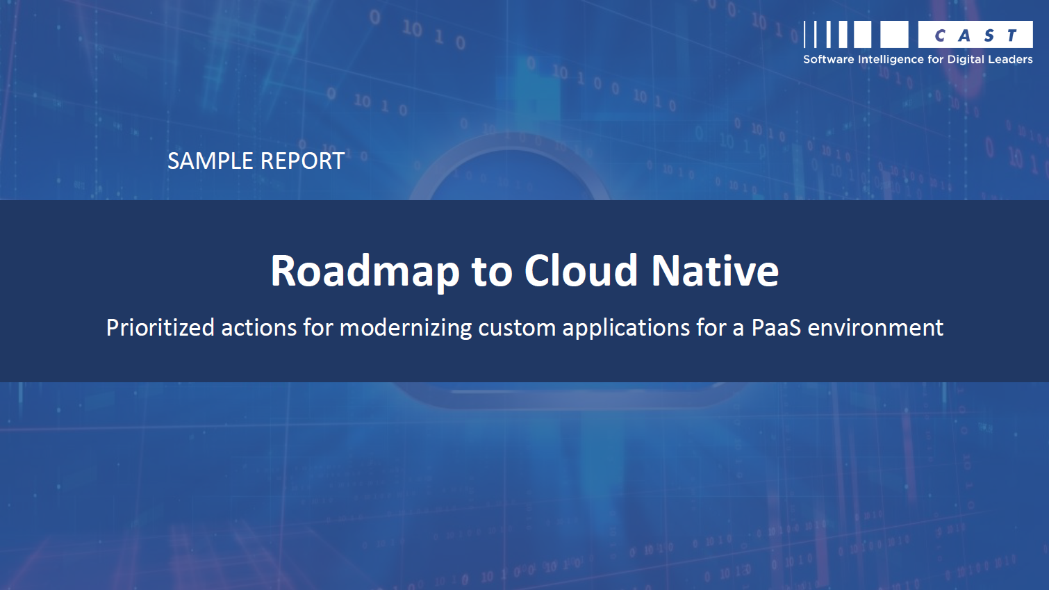 Roadmap to Cloud Native – Sample Report